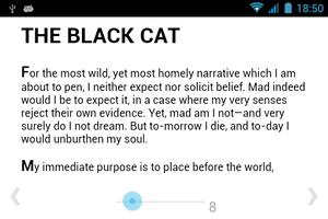 BiBook of The black cat poster