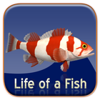 آیکون‌ Life of a Fish