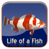 Life of a Fish