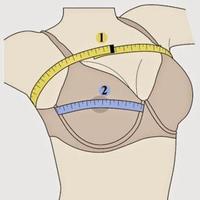 increase size breast ảnh chụp màn hình 1