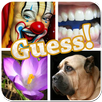 PICS QUIZ - Guess The Word APK