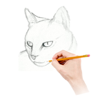 How To Draw Warrior Cats icône