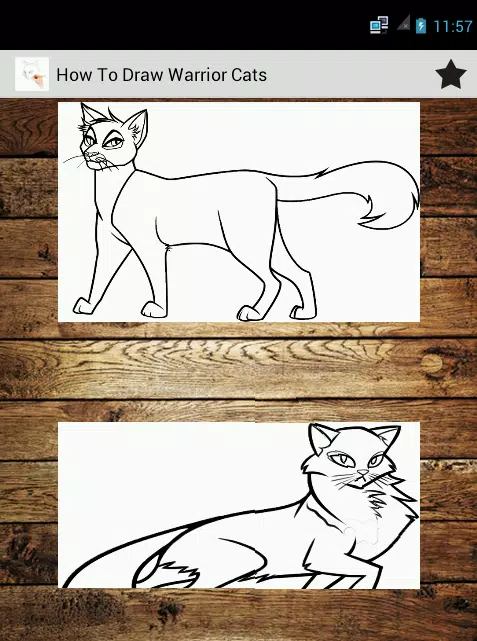 Warrior Cats Drawing - How To Draw Warrior Cats Step By Step