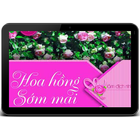 Hoa Hồng Sớm Mai FULL 2014 icône