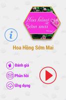 Hoa Hồng Sớm Mai FULL 2014 Affiche