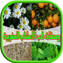 كتاب الاعشاب التداوي بالاعشاب APK