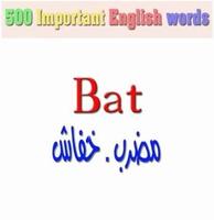 500 Important English words with Pictures & audios ảnh chụp màn hình 3