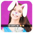Cute Face Camera Effect