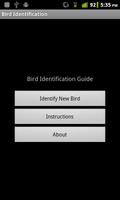 Bird Identification 포스터