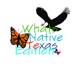 Whats native Texas edition