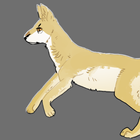 catQuiz 圖標