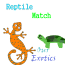 Reptile match aplikacja