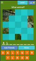 Animal Guessing Game Affiche
