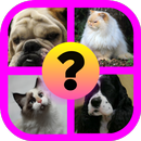 Guess the Animal: Cat or Dog? APK