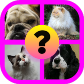 Guess the Animal: Cat or Dog? 图标