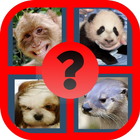 Guess the Celebrity: Animal icon