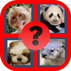 Guess the Celebrity: Animal-icoon