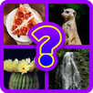 Guess the Picture Game Free APK