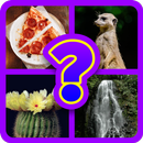 Guess the Picture Game Free APK