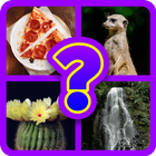 Guess the Picture Game Free icône