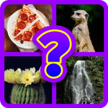 ”Guess the Picture Game Free