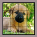 Dog Puzzles Extreme! 2 APK