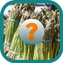 Food Quiz: Tiles Guessing Game APK