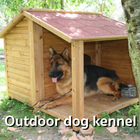 Outdoor dog kennel ideas آئیکن