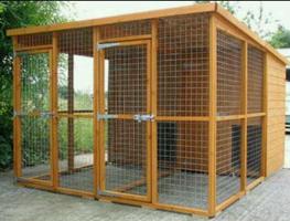 Outdoor dog kennel ideas پوسٹر