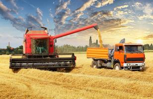 Wheat combine harvester Jigsaw Affiche