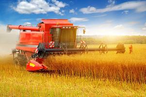 Wheat combine harvester Jigsaw screenshot 1