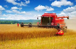 Wheat combine harvester Jigsaw screenshot 2