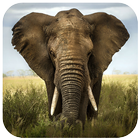 Prairie animal puzzle أيقونة