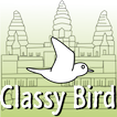 Classy Bird