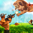 Lion Hunting