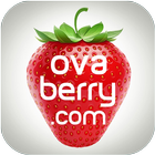 ovaberry.com icône
