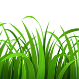 Grass Simulator