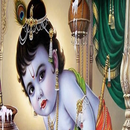 Kannada Sri Krishna Devotional Songs APK