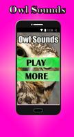 Owl Sounds Affiche