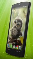 Owl Chick Live Wallpaper capture d'écran 1