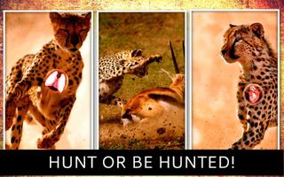 Cheetah Hunter 2016 স্ক্রিনশট 3