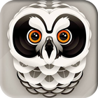 Owl Wallpaper آئیکن