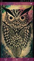 برنامه‌نما Owl Wallpaper عکس از صفحه