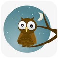 Owl Wallpaper HD