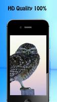 Owl Wallpapers ảnh chụp màn hình 2