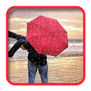 Romantic Rain Live Wallpaper APK