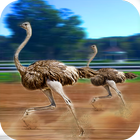 Straußenrennen Spiel: Jungle Animals Racing Simula Zeichen