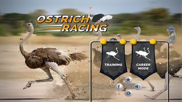 Ostrich Race Affiche