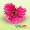 Oxtic Tab