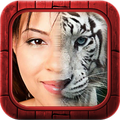 Animal Face Morphing
